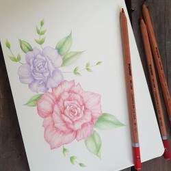 Bruynzeel farbičky Expression 72ks