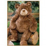 Busquets Plyšový medveď 70 cm