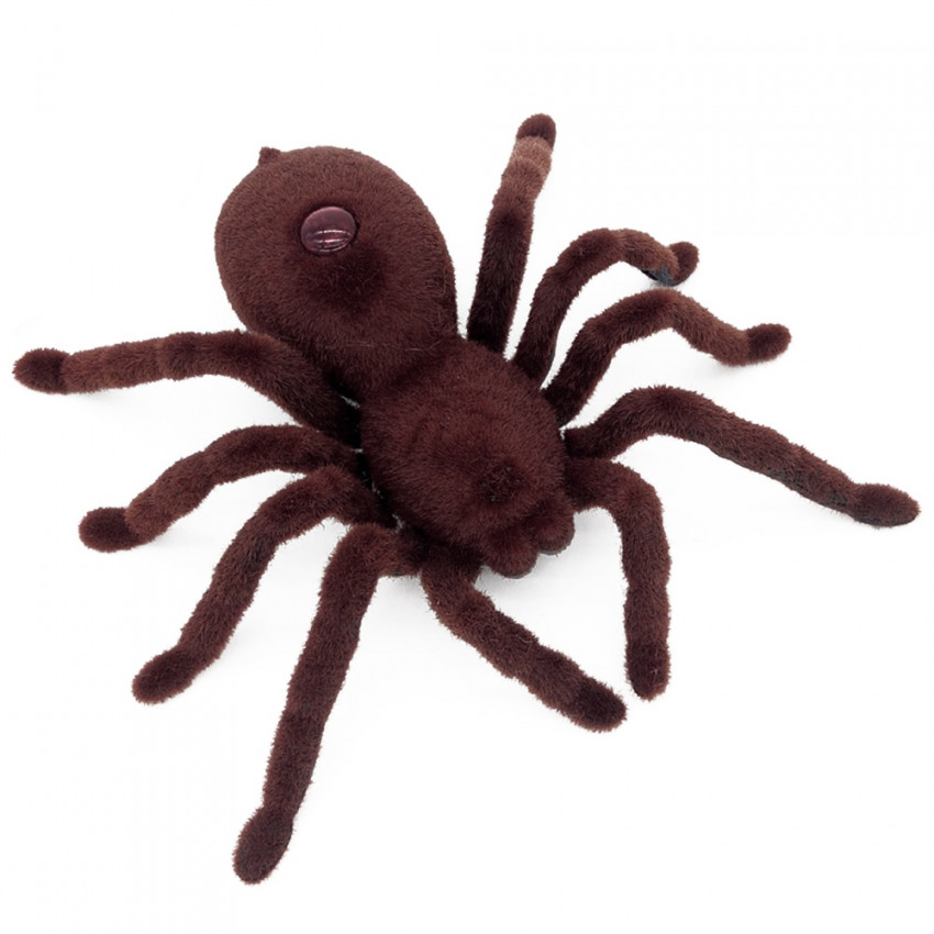 na diaľkové ovládanie, pavúci