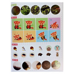 Náučná kniha aktivít Spoznávaj a hraj sa Dinosaury