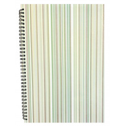 MOVEO Záznamová kniha A 4 špirála prúžok zelená