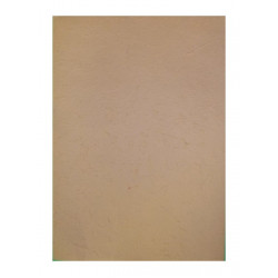 K-20.222-14 Ručný papier A3/10ks-bledooranžový