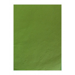 K-20.222-17 Ručný papier A3/10ks-hráškovozelený