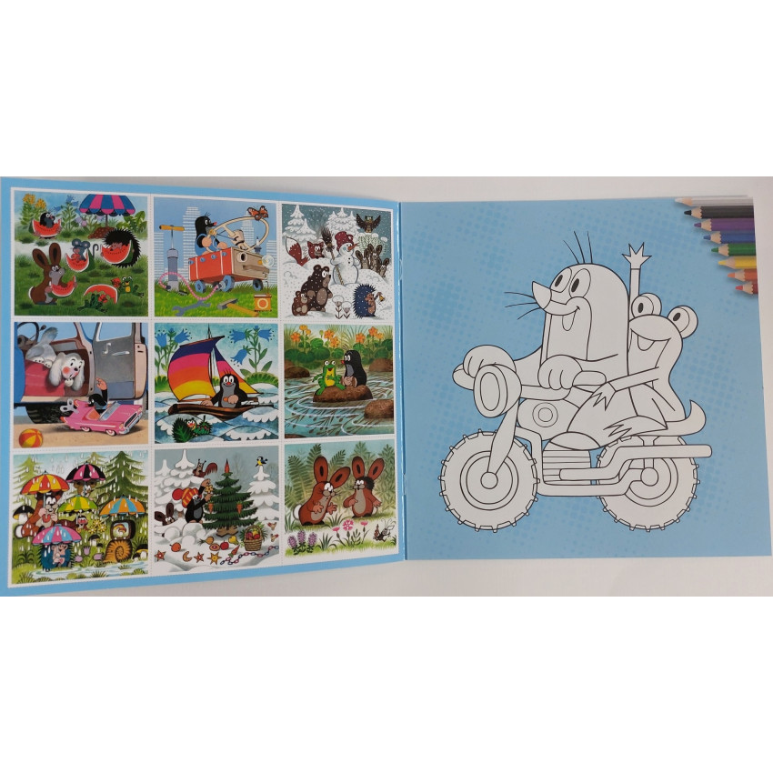 Pexeso 21 x 21 cm Krtko 