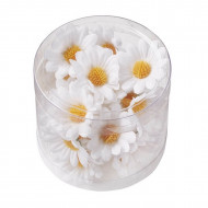 Dekoračné kvety margarétky 25ks