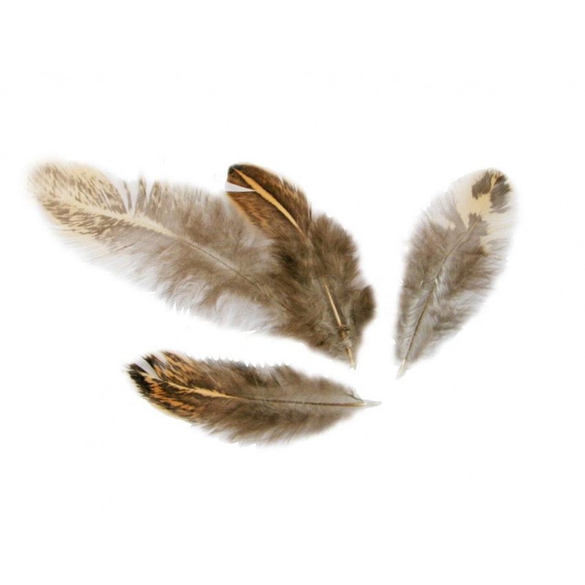 Dekoračné pierka 3g hnedé