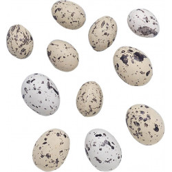 Prepeličie vajcia 3cm 12ks