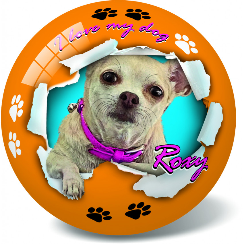 Lopta 23 cm vzor Pes, Mačka