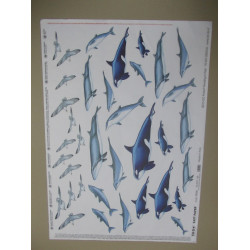 K-7025 Dekupáž papier 50x70cm - 1