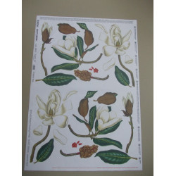 K-7025 Dekupáž papier 50x70cm - 1