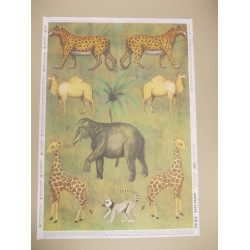 K-7025 Dekupáž papier 50x70cm - 1