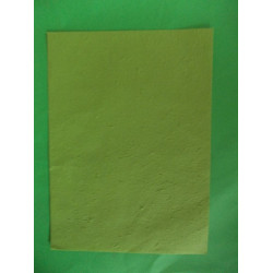 K-20.222-17 Ručný papier A3/10ks-hráškovozelený