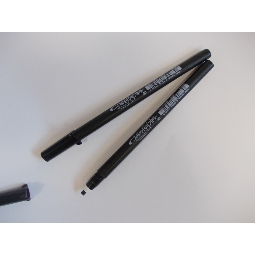 Sakura kaligrafická fixa 30